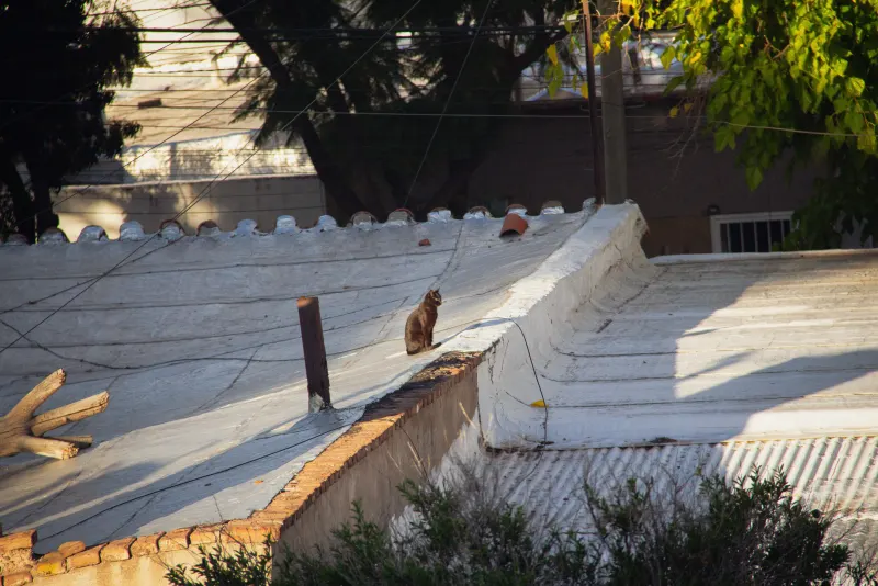 Tejados del barrio vistos desde arriba